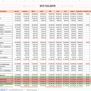 KUU EELARVE arvestus Google sheet